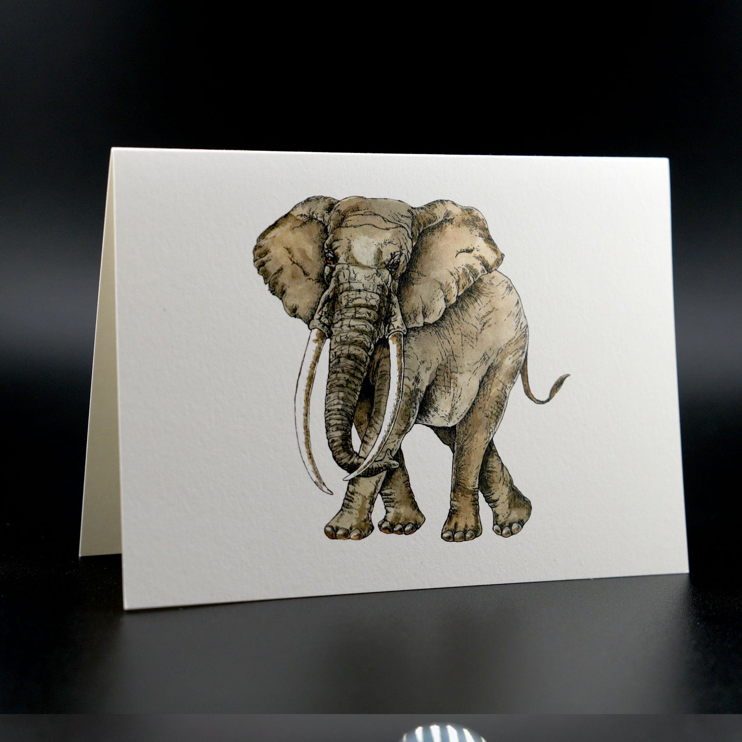 The Southern Sportsman's Elephant - Stationery Cards