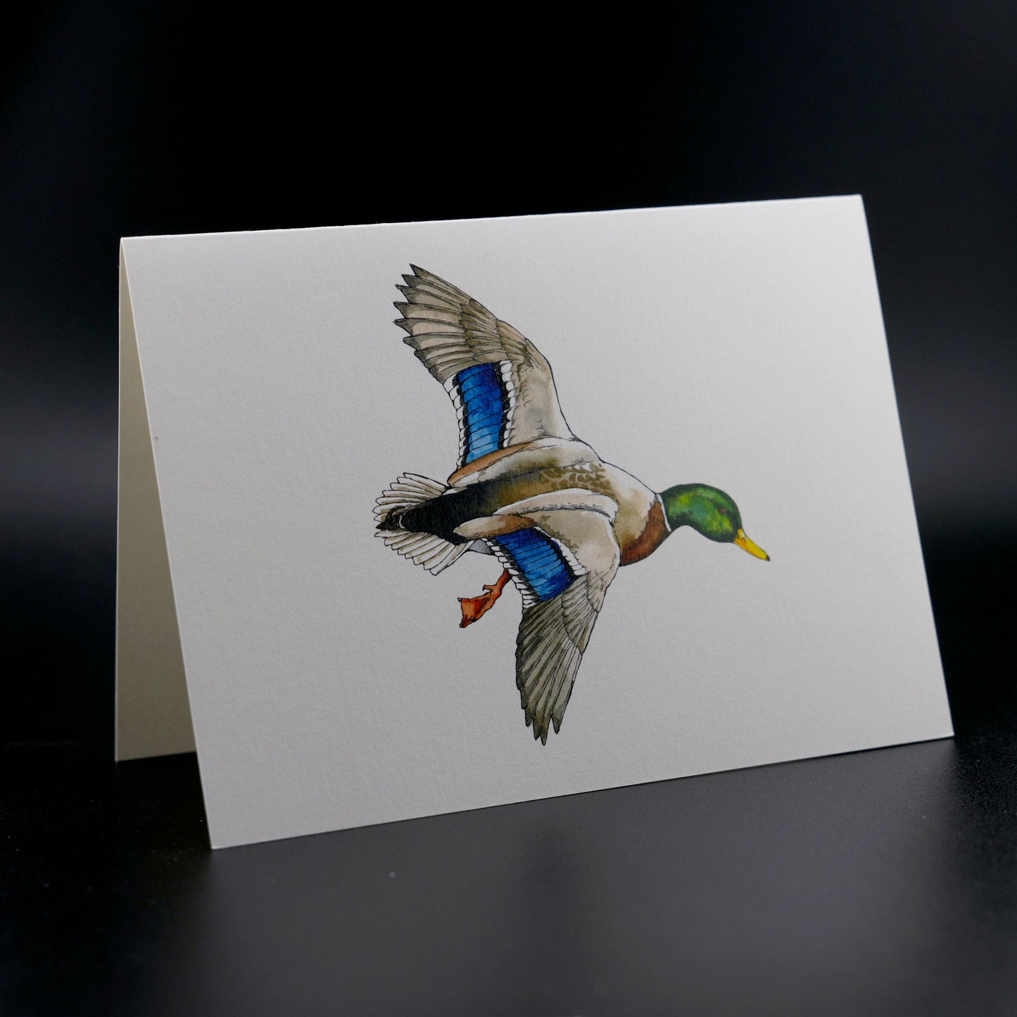 The Southern Sportsman's Flying Mallard - Stationery Cards