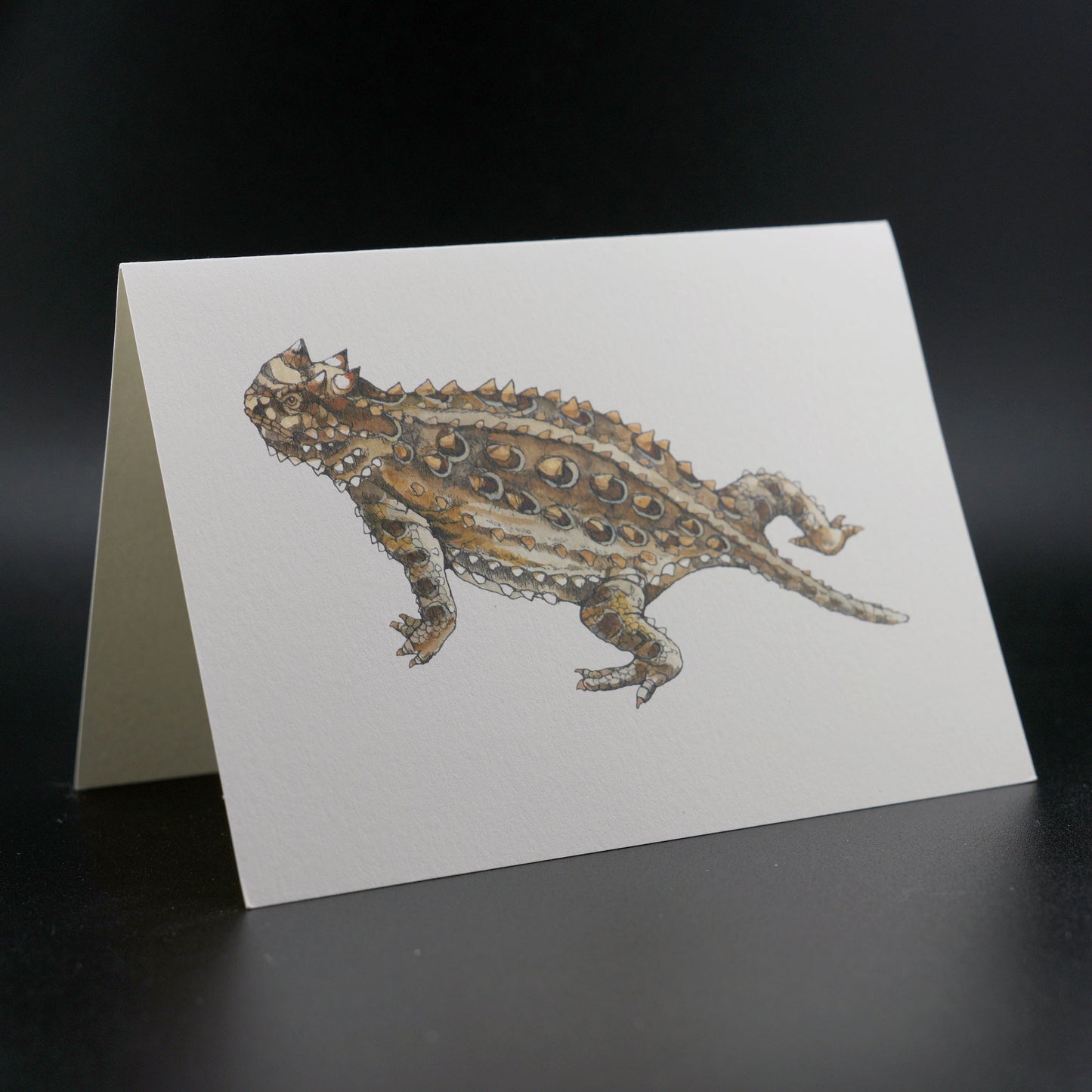 The Southern Sportsman's Horned Frog - Stationery Cards