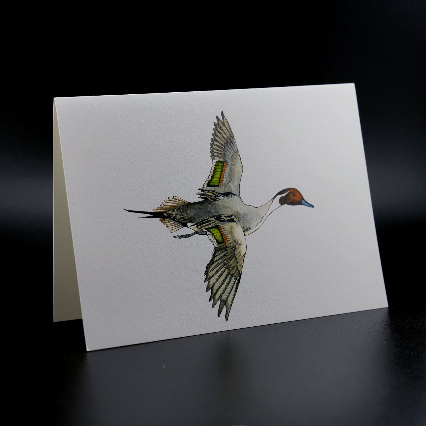 The Southern Sportsman's Pintail Duck - Stationery Cards