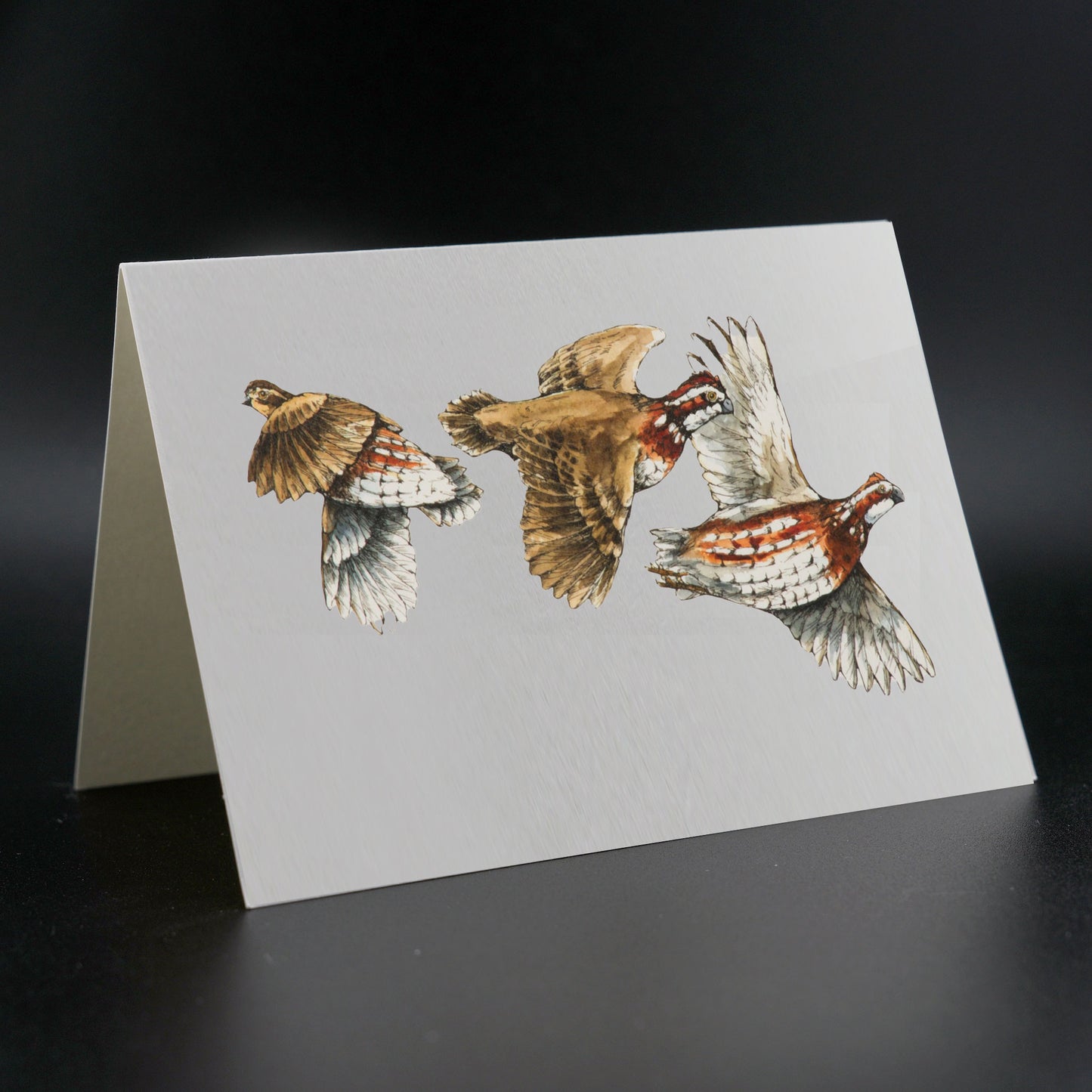 The Southern Sportsman's Quail - Stationery Cards