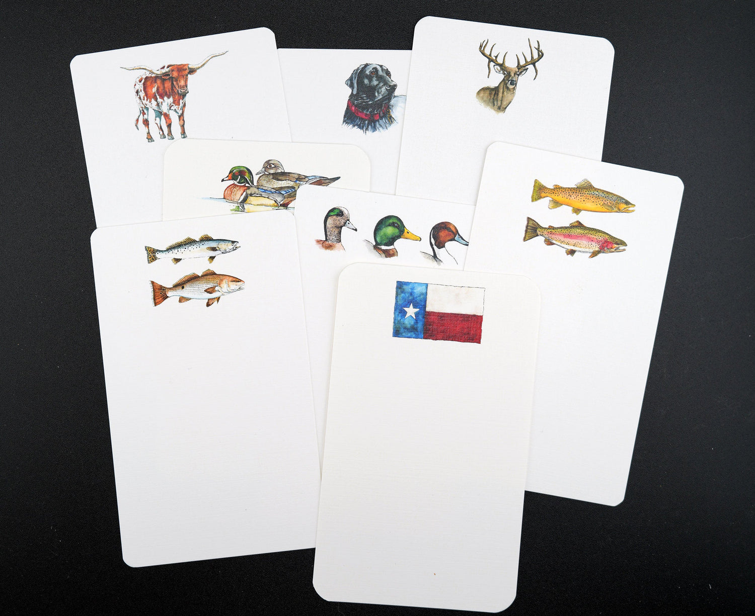 Shirt Pocket Cards