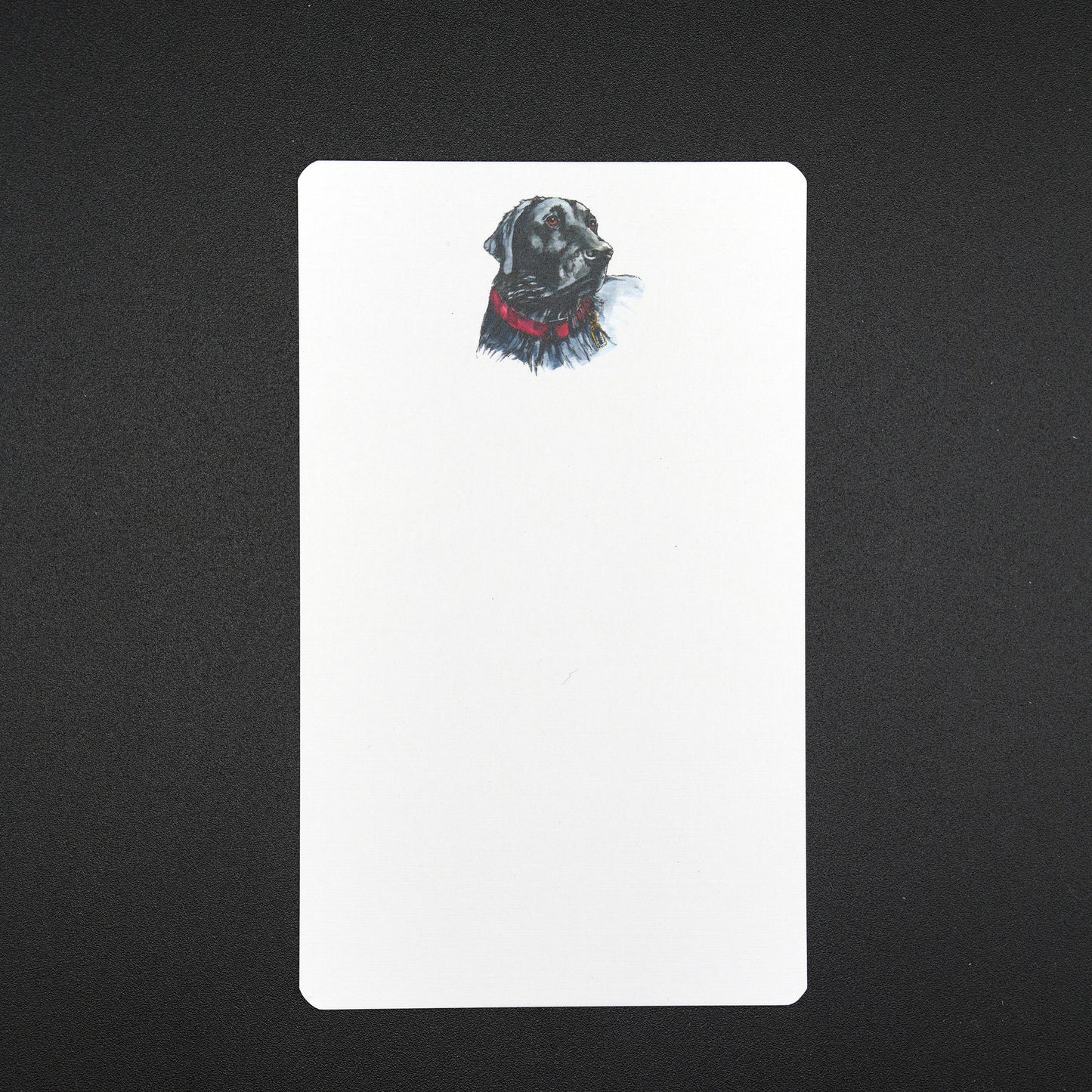 The Southern Sportsman's Black Lab Shirt Pocket Cards