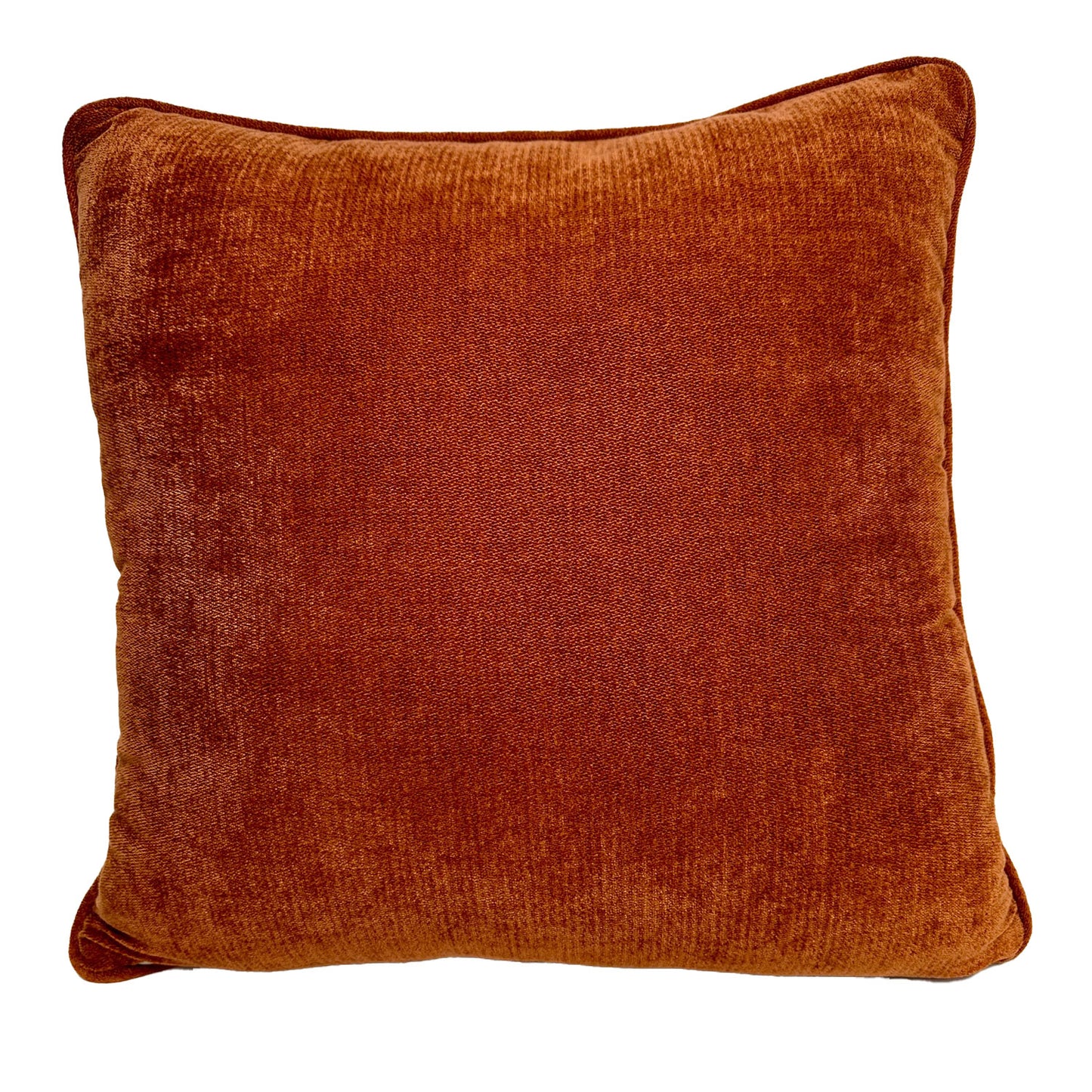 Longhorn Tan Canvas Pillow