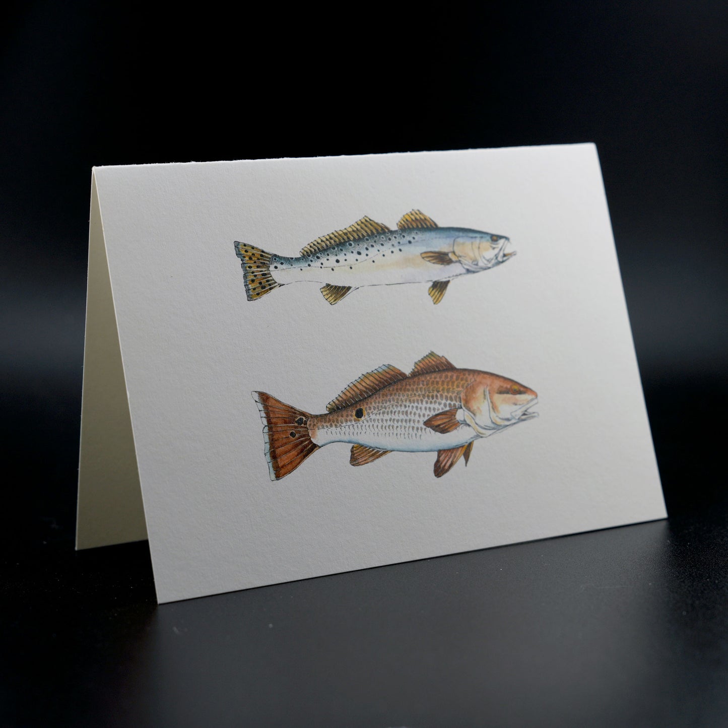 The Southern Sportsman's Speckled Trout and Redfish - Stationery Cards